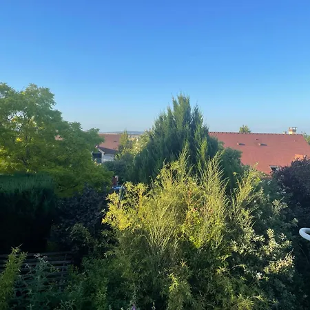 Elo Apartament